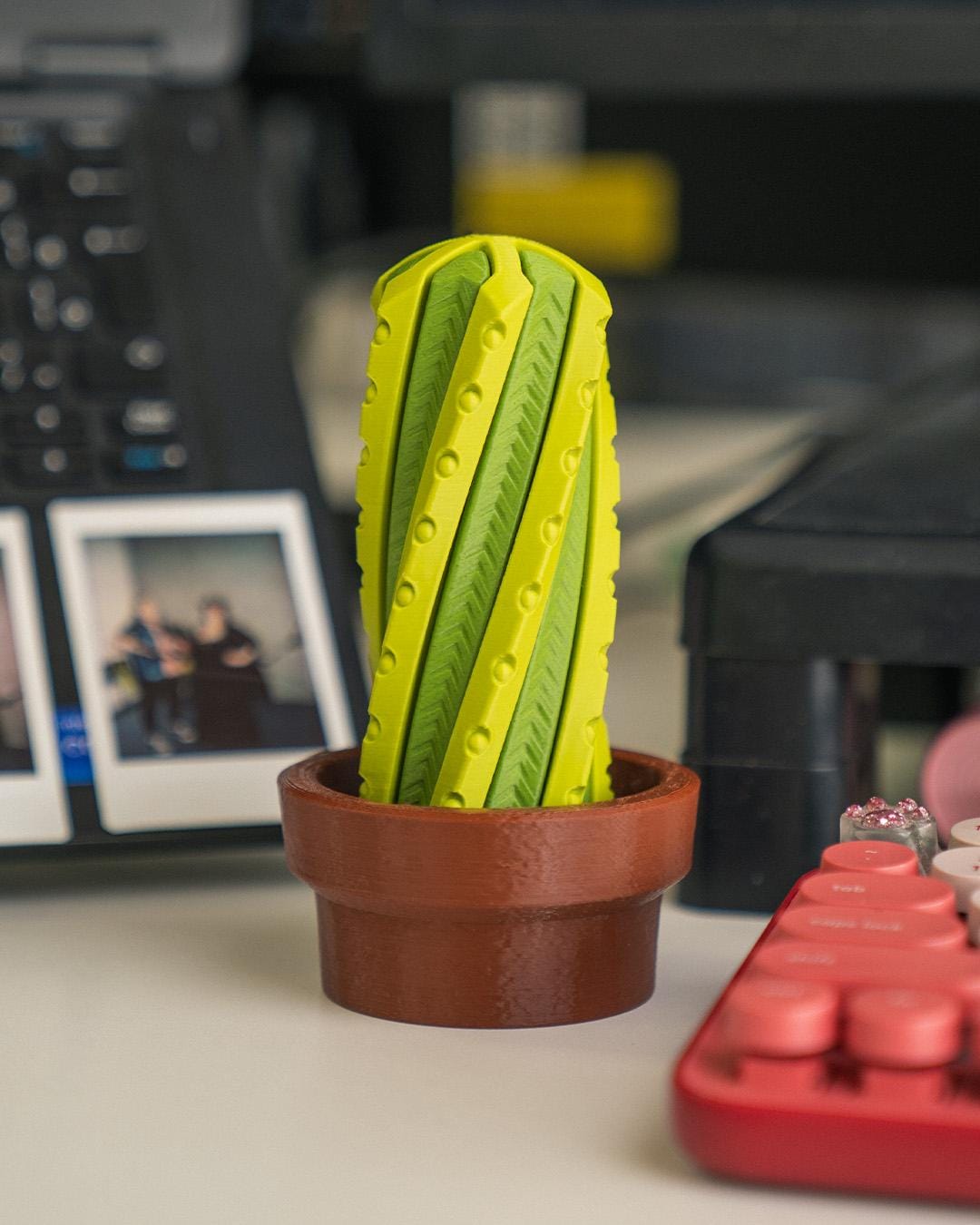 Cactus Fidget Toy Stress Relief