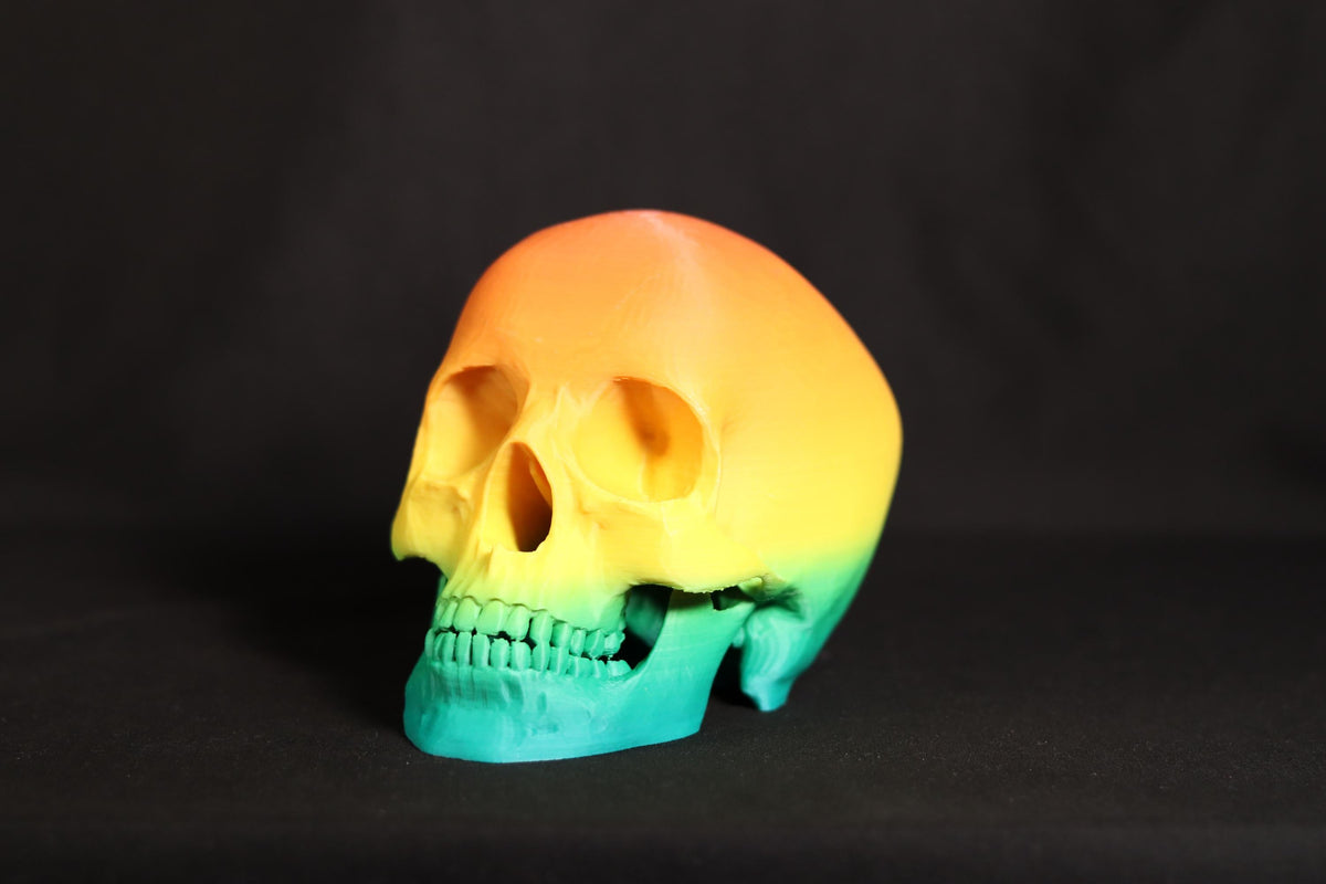 Gothic Skull Figurine: Detailed Model, Halloween Home Office Decor