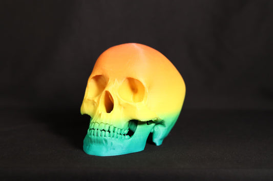 Gothic Skull Figurine: Detailed Model, Halloween Home Office Decor