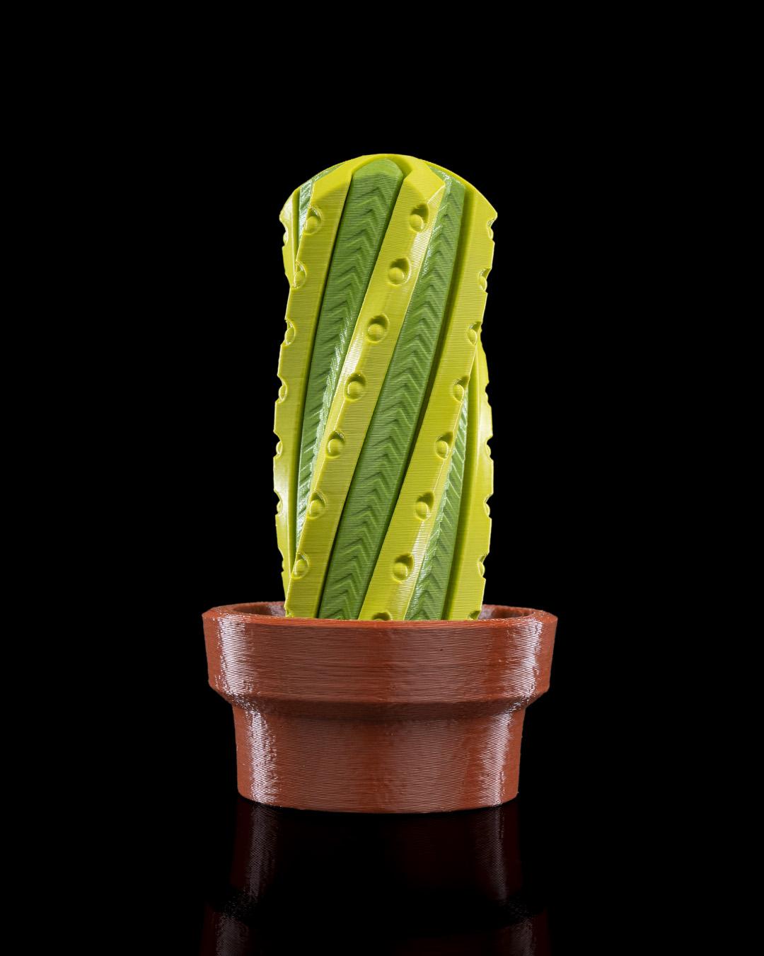 Cactus Fidget Toy: Stress Relief Desk Accessory