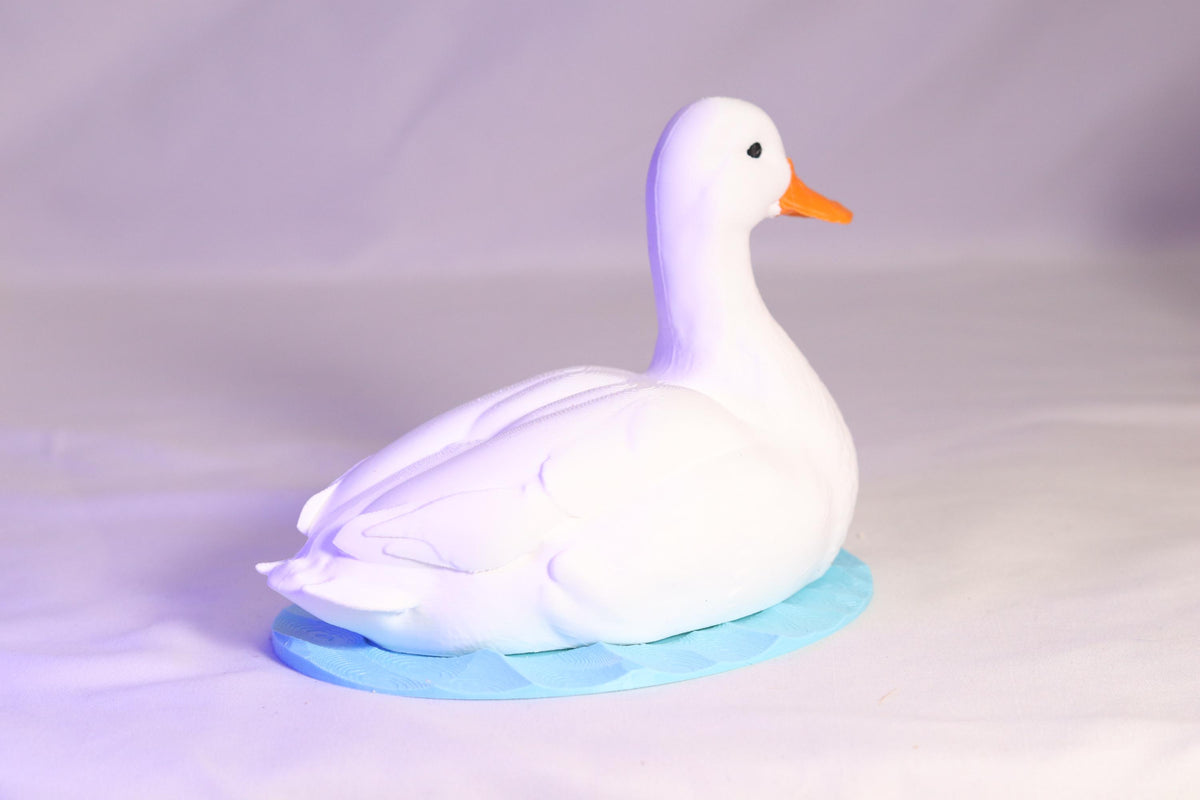 Duck Soap Holder for Bath and Body Works Foaming Soap Bottle Farmhouse Sink Decor