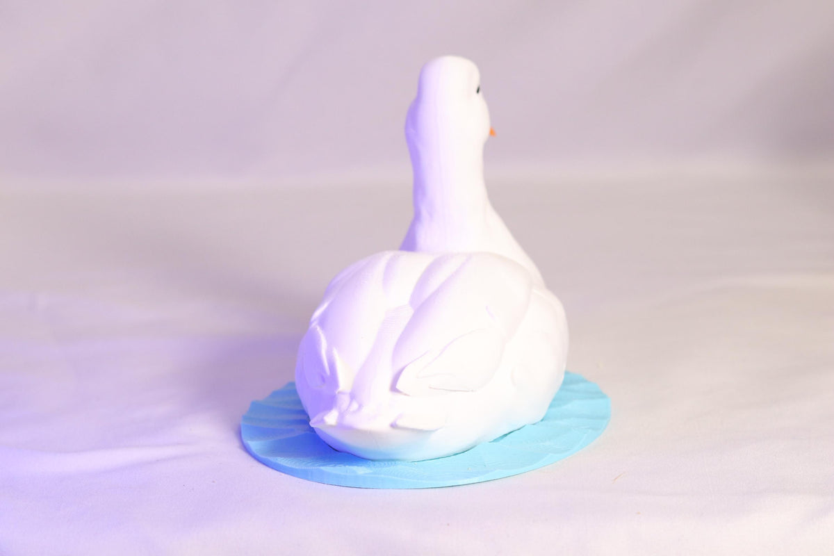 Duck Soap Holder for Bath and Body Works Foaming Soap Bottle Farmhouse Sink Decor