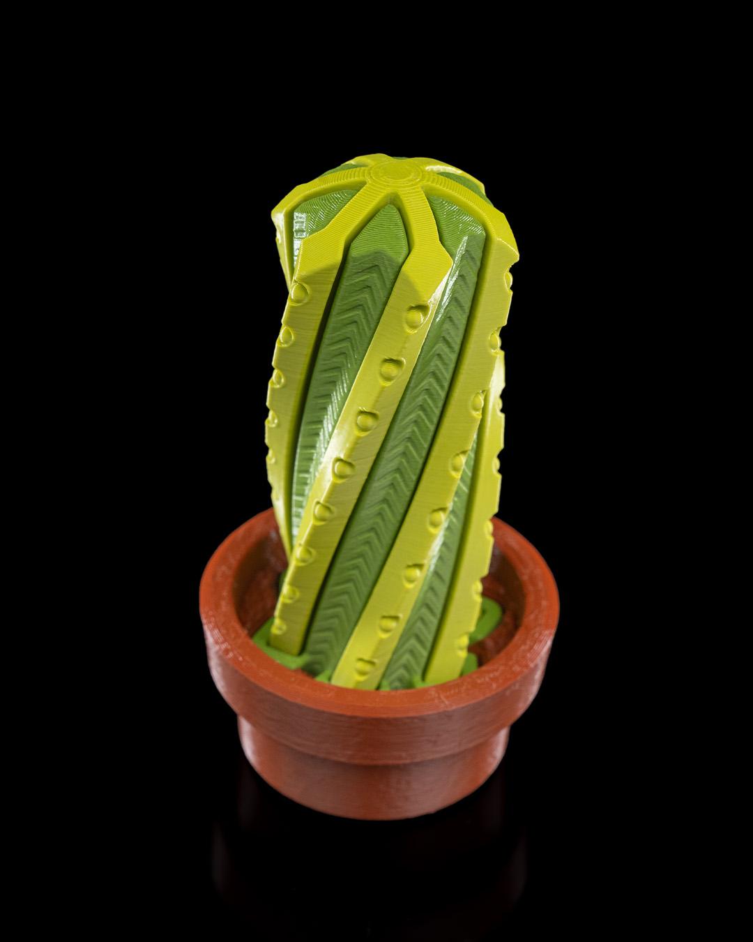 Cactus Fidget Toy: Stress Relief Desk Accessory