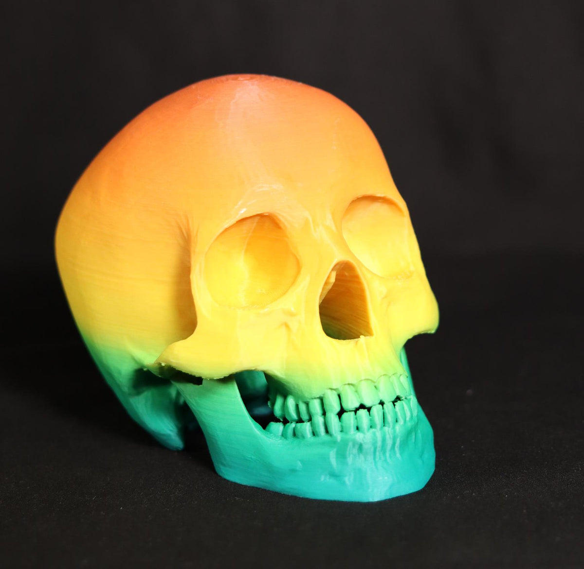 Gothic Skull Figurine: Detailed Model, Halloween Home Office Decor