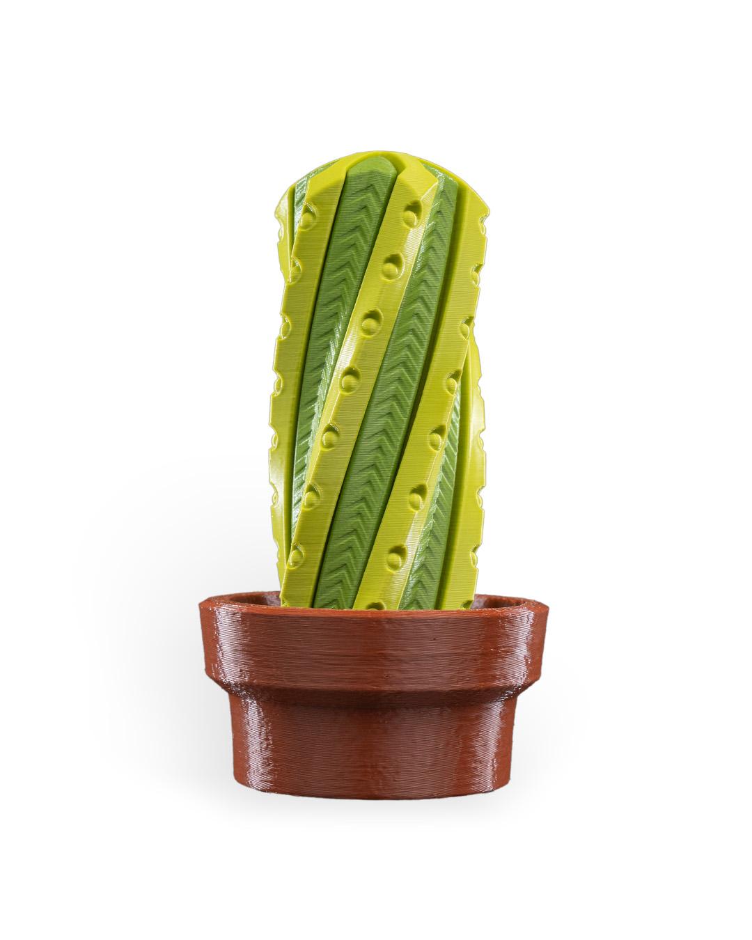 Cactus Fidget Toy: Stress Relief Desk Accessory