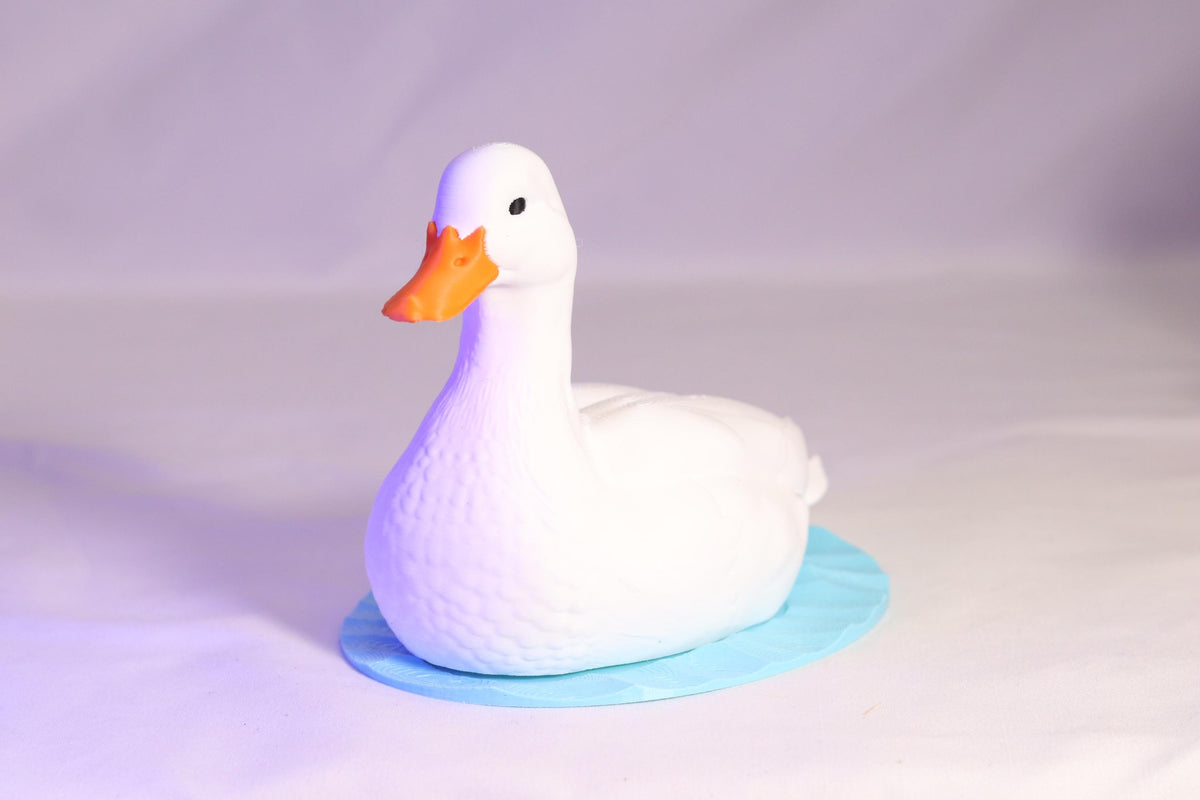 Duck Soap Holder for Bath and Body Works Foaming Soap Bottle Farmhouse Sink Decor
