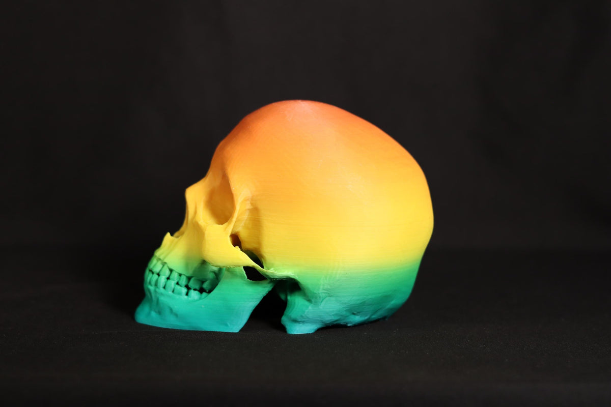 Gothic Skull Figurine: Detailed Model, Halloween Home Office Decor