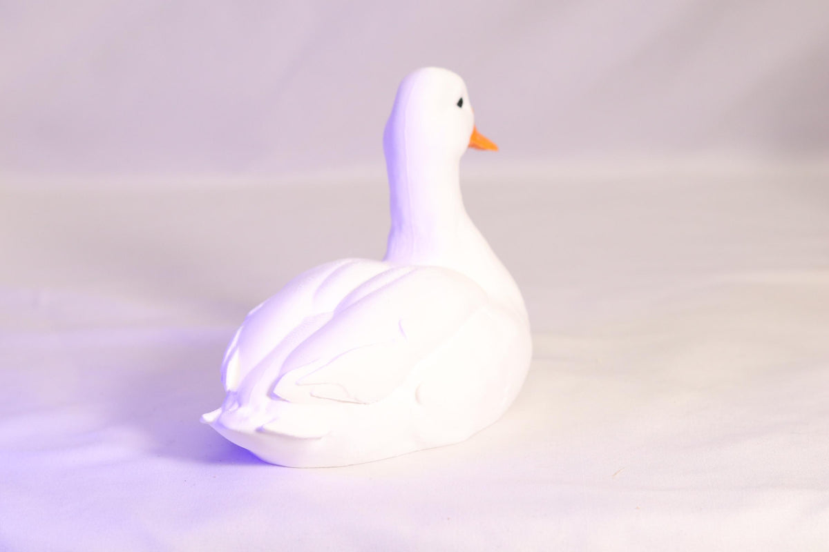 Duck Soap Holder for Bath and Body Works Foaming Soap Bottle Farmhouse Sink Decor