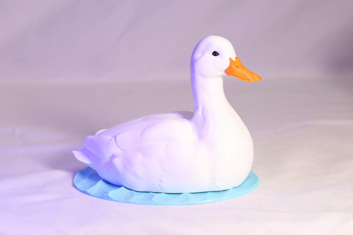 Duck Soap Holder for Bath and Body Works Foaming Soap Bottle Farmhouse Sink Decor
