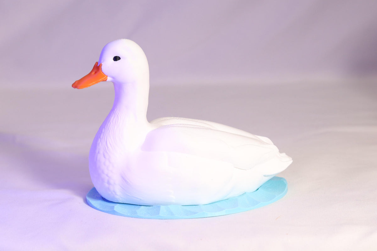Duck Soap Holder for Bath and Body Works Foaming Soap Bottle Farmhouse Sink Decor