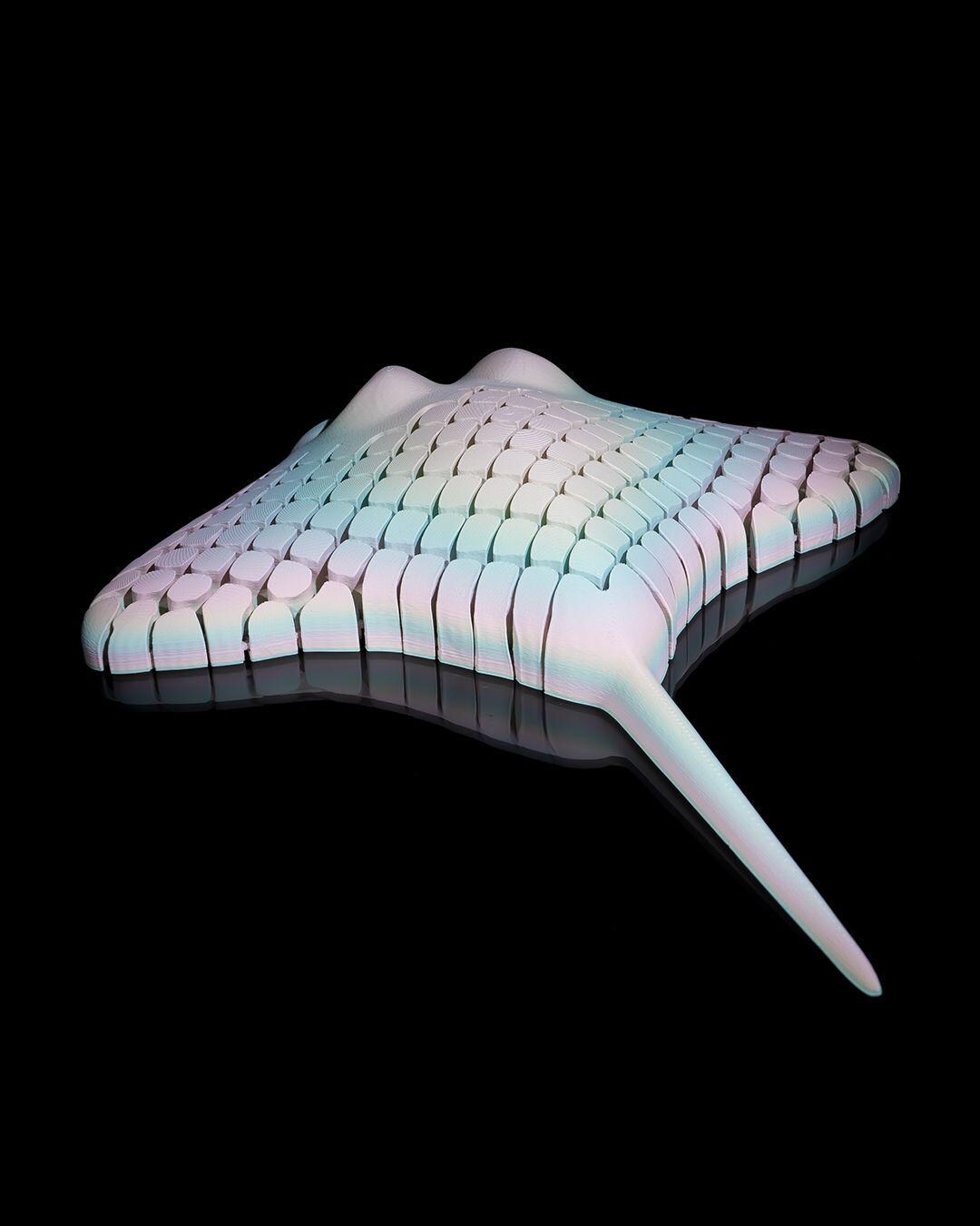 lexi Manta Ray Toy Ocean Animal Fidget Desk Toy