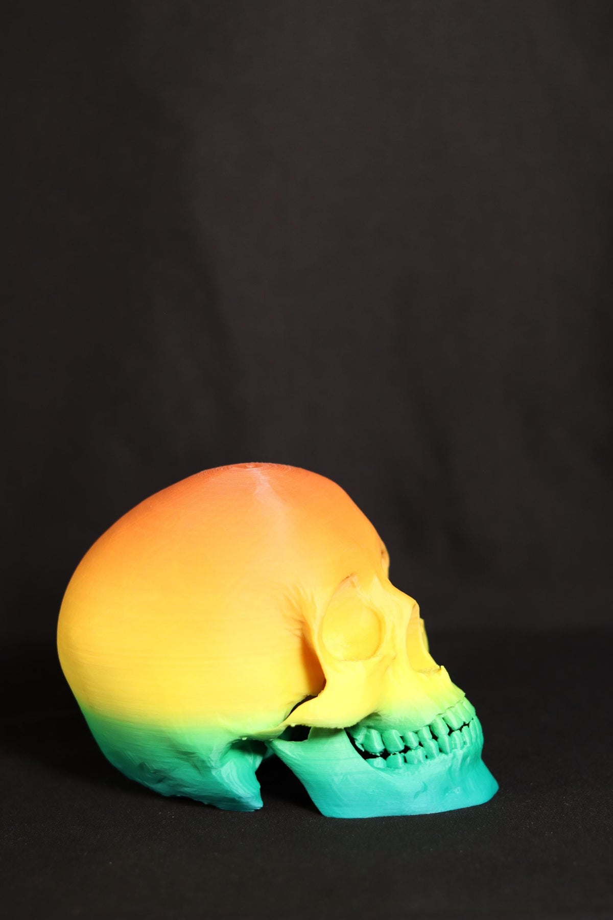 Gothic Skull Figurine: Detailed Model, Halloween Home Office Decor