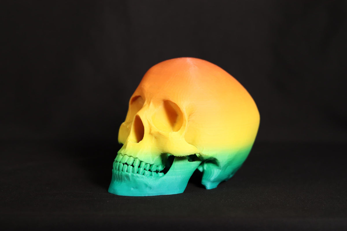 Gothic Skull Figurine: Detailed Model, Halloween Home Office Decor