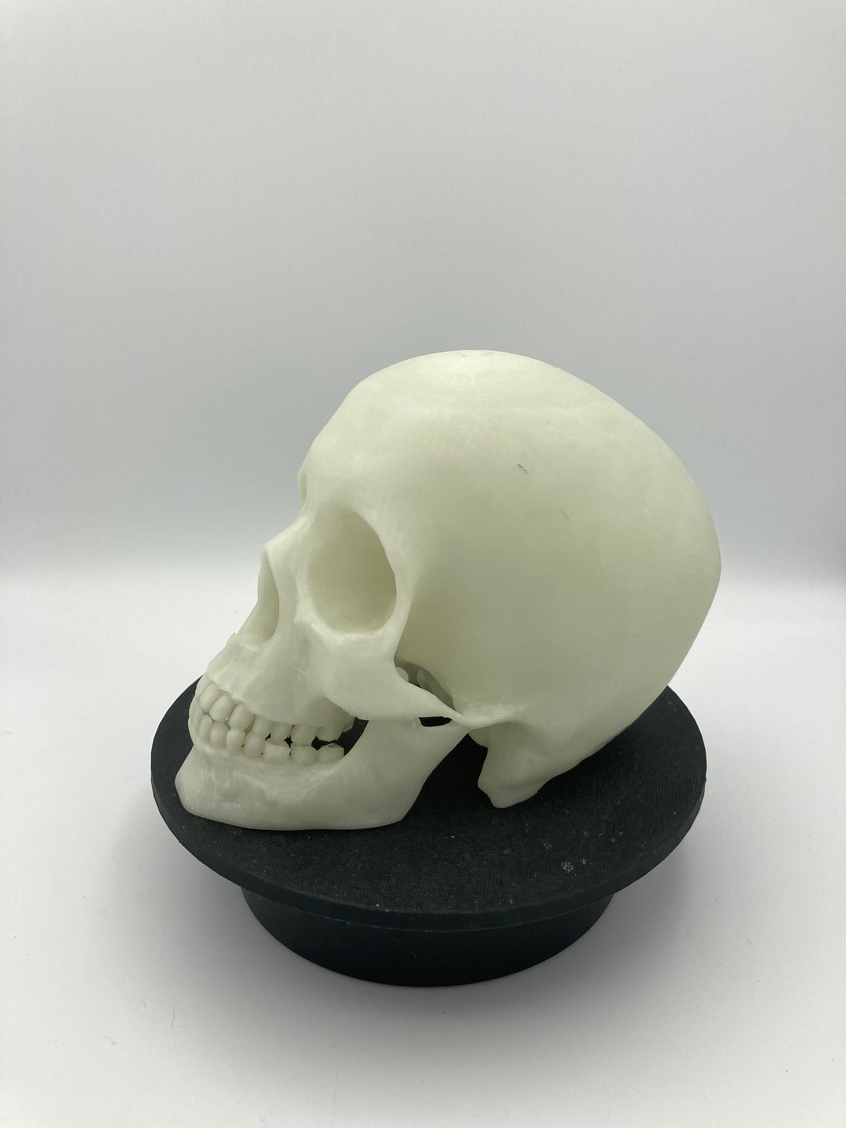 Skull Glow in the Dark Spooky Halloween Decor Skeleton Figurine Perfect Gift for Horror Fans Unique Collectible Skeleton Decor