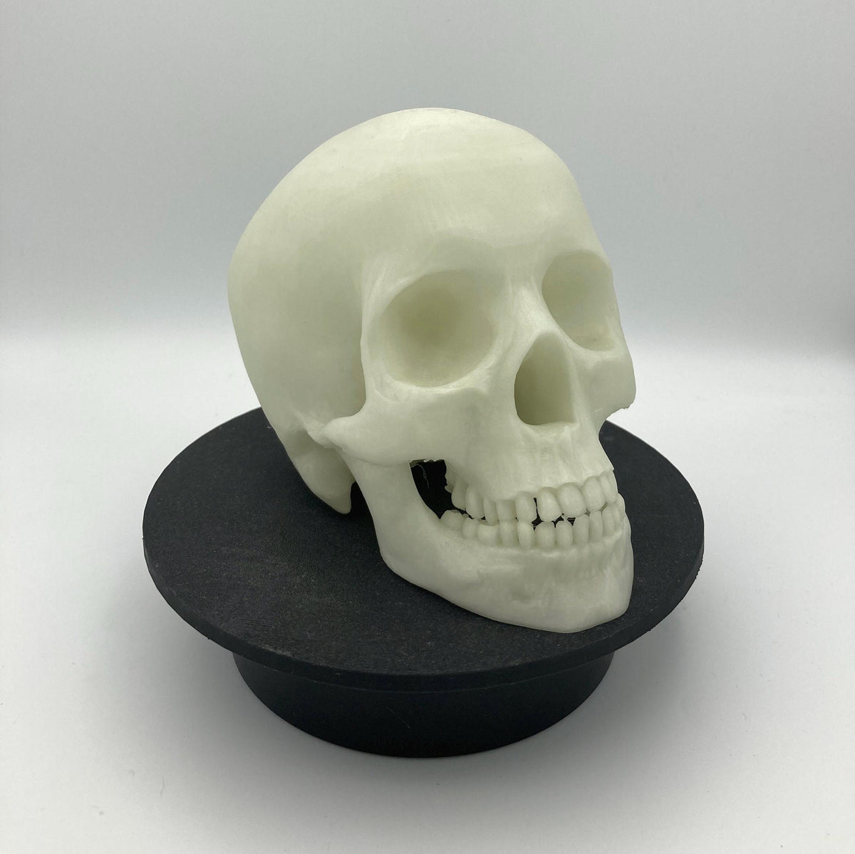 Skull Glow in the Dark Spooky Halloween Decor Skeleton Figurine Perfect Gift for Horror Fans Unique Collectible Skeleton Decor