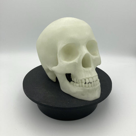 Skull Glow in the Dark Spooky Halloween Decor Skeleton Figurine Perfect Gift for Horror Fans Unique Collectible Skeleton Decor
