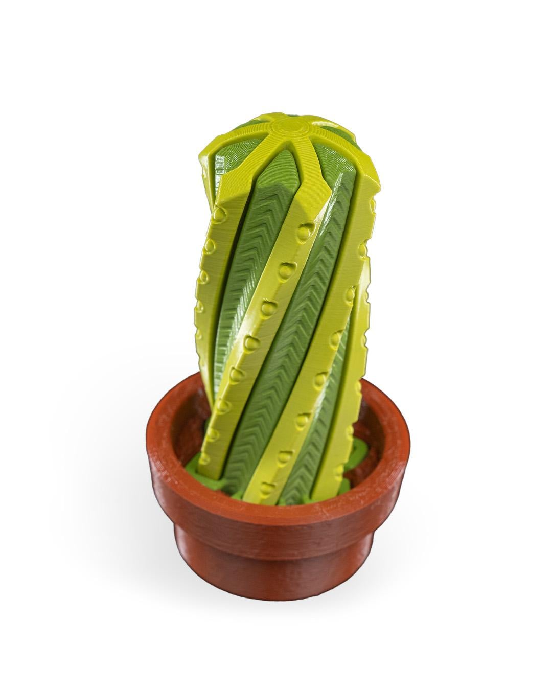 Cactus Fidget Toy Stress Relief