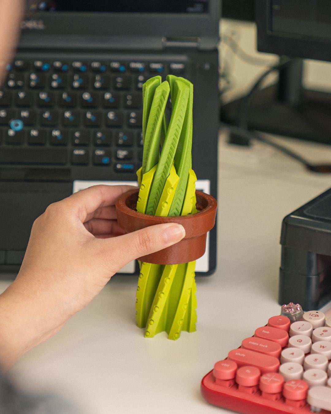 Cactus Fidget Toy Stress Relief